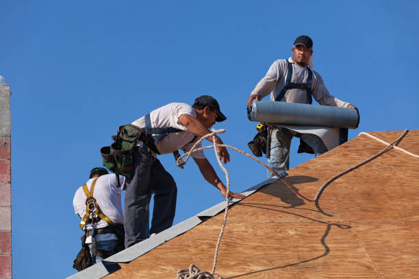 Best Local Roofing Companies  in Lenexa, KS